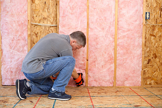 Best Insulation Installation Services in Mont Belvieu, TX
