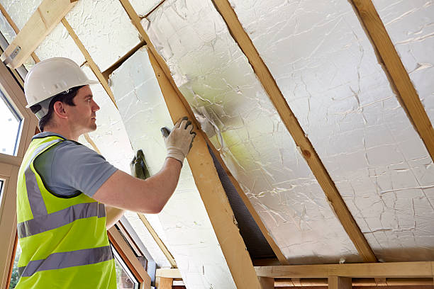 Best Insulation Maintenance and Repair in Mont Belvieu, TX